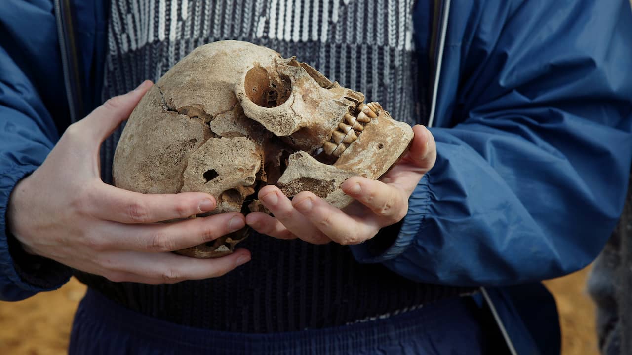 40 human skulls and other bones were found during a home search in the United States |  outside