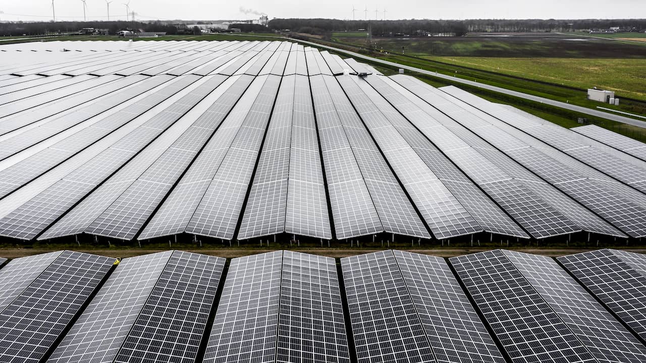 The Netherlands: Largest Importer of Solar Panels from China; Value of Re-Exports Surpasses Dutch-Manufactured Exports