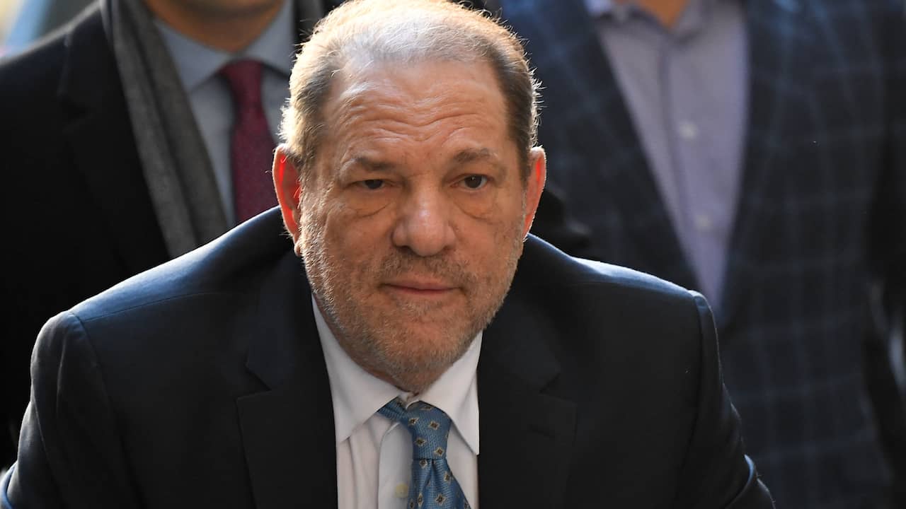 Harvey Weinstein Appeals Jail Time for Rape and Abuse |  NOW