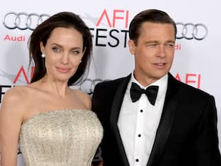 Brad Pitt klaagt Angelina Jolie aan om verkoop gezamenlijke wijngaard