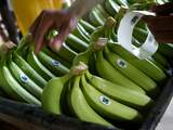 'Nederlander wil fairtrade kopen maar supermarkt werkt niet mee'