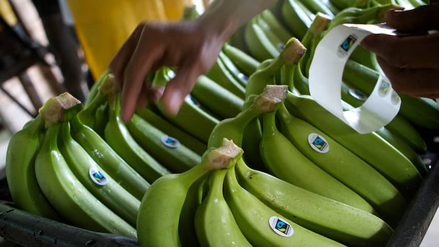 'Nederlander wil fairtrade kopen maar supermarkt werkt niet mee'