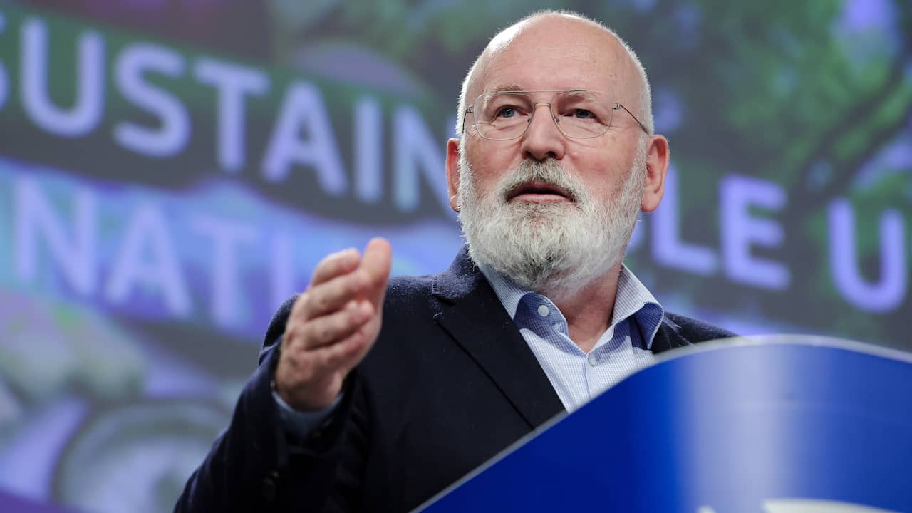 frans-timmermans-wil-lijsttrekker-groenlinks-pvda-worden.jpg