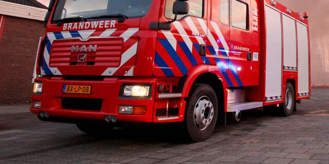 Opslag voor haardhout in lichterlaaie in bos in Breda