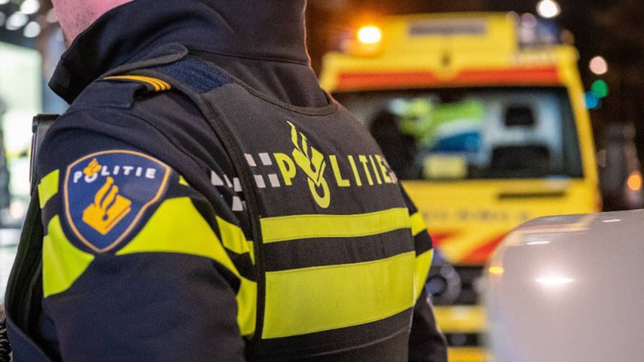An 18 Year Old Woman Died On The Festival Grounds In Noord Brabantse Haaren Interior World