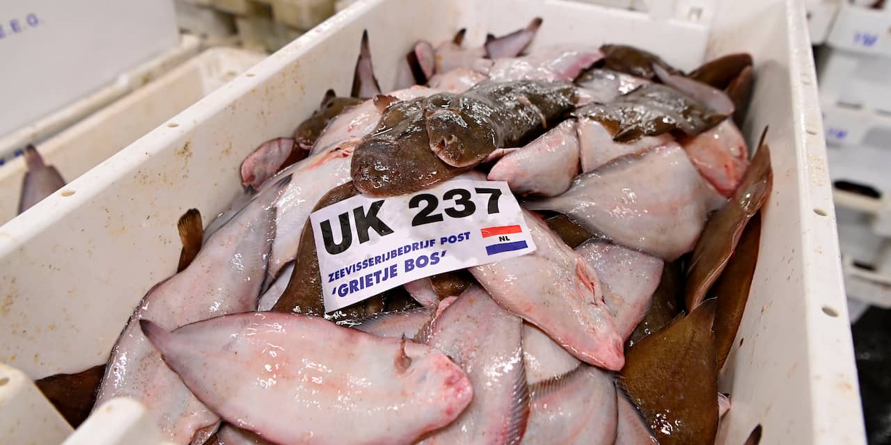 Britse premier wil wel Brexit-deal maar ook controle over 'onze vis'
