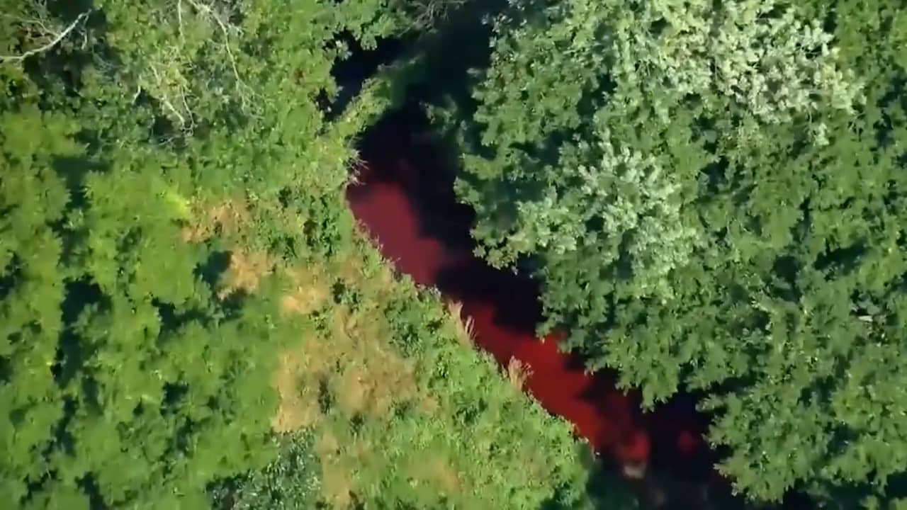 Beeld uit video: Amerikaanse rivier kleurt bloedrood na lozing kleurstof