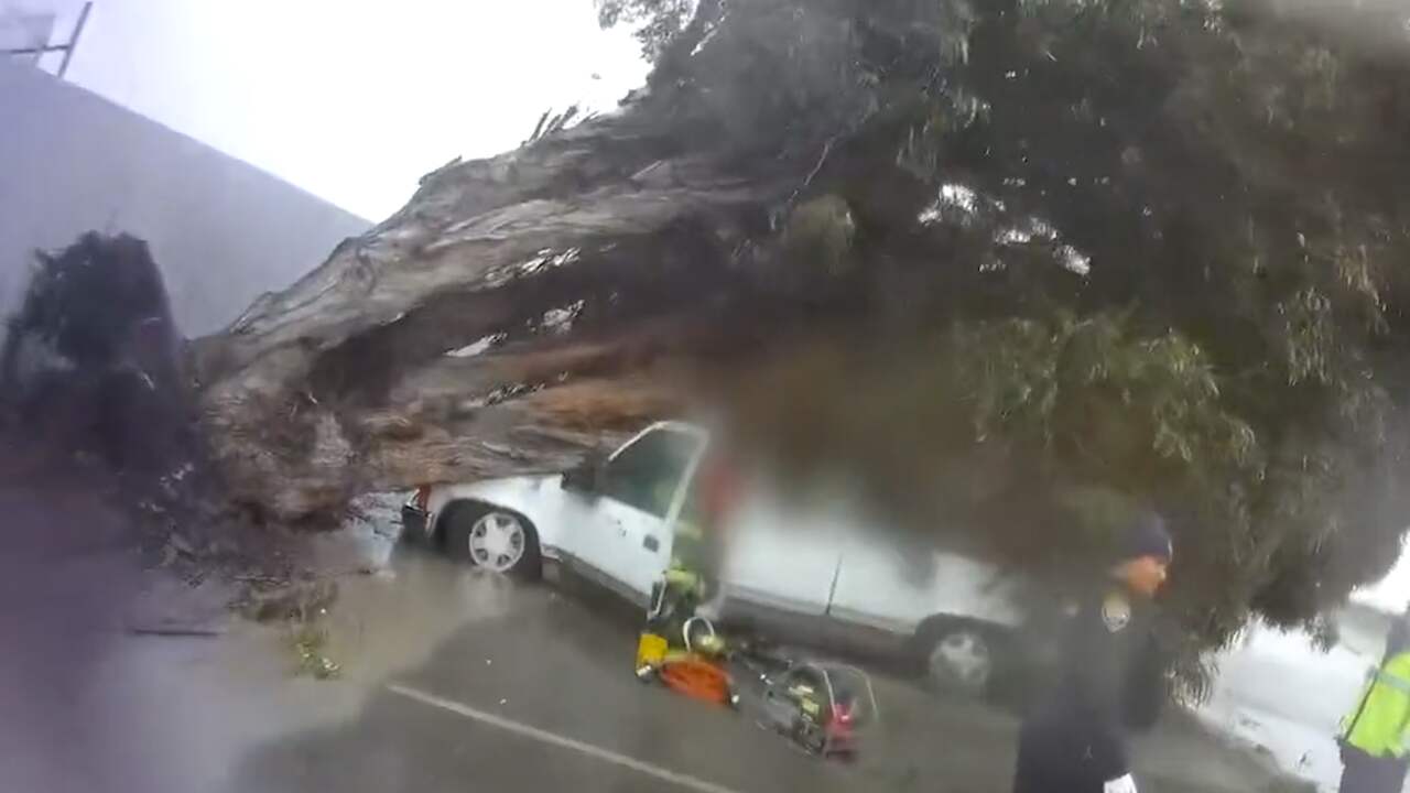 Beeld uit video: Amerikanen gered uit auto waarop een boom was gevallen