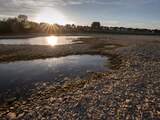 Door de droogte is de waterstand in de Rijn en Maas lager dan normaal gesproken in juli en op sommige plekken valt de rivier droog.