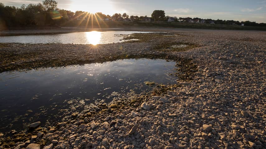 Natuurorganisaties willen hoger waterpeil om droogte te voorkomen