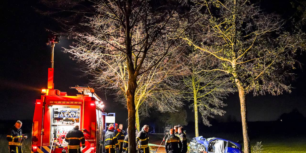 Automobilist overleden na botsing tegen boom in Etten-Leur