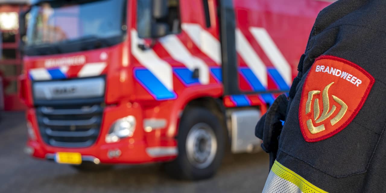 Brandweer helpt uit weiland ontsnapt paard uit de sloot in Eemnes