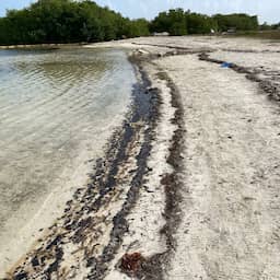 Olie uit gekapseisd vaartuig vervuilt oostkust van Bonaire