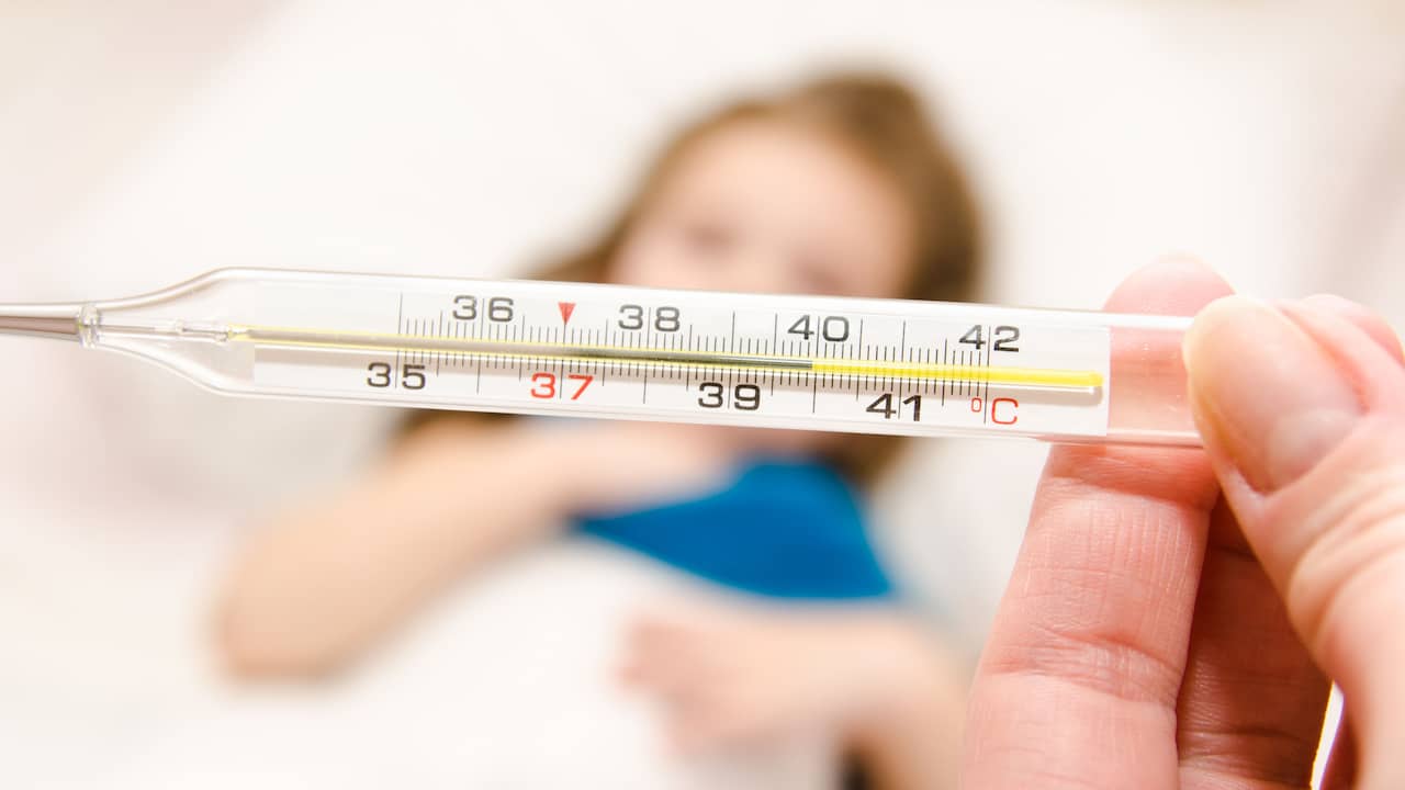 paars solidariteit Achterhouden Doktersadvies: Wanneer koorts met vlekjes gevaarlijk is bij kinderen |  Gezondheid | NU.nl