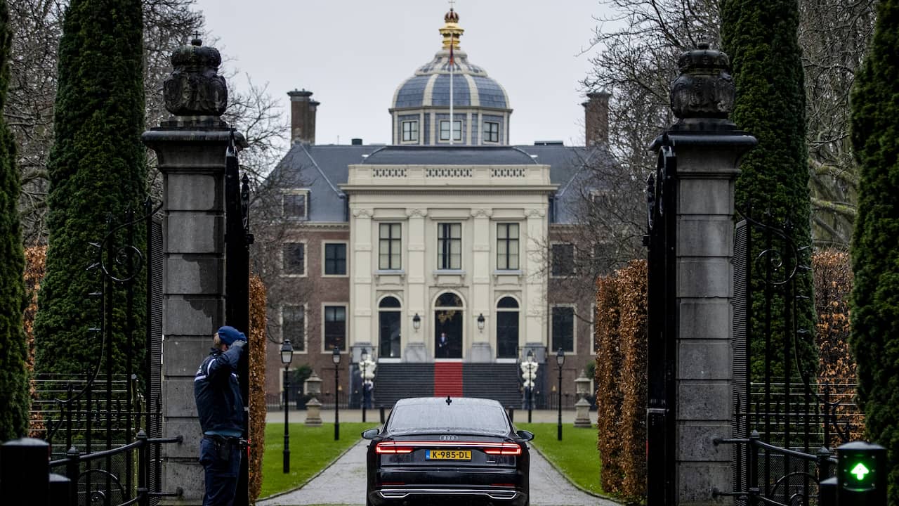 Chiot disparu de Paris retrouvé après une semaine au palais résidentiel du roi à La Haye |  Animaux