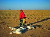 Dreiging hongersnood steeds groter in Somalië