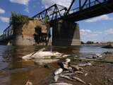 Nog geen verklaring voor massale vissterfte in rivier de Oder