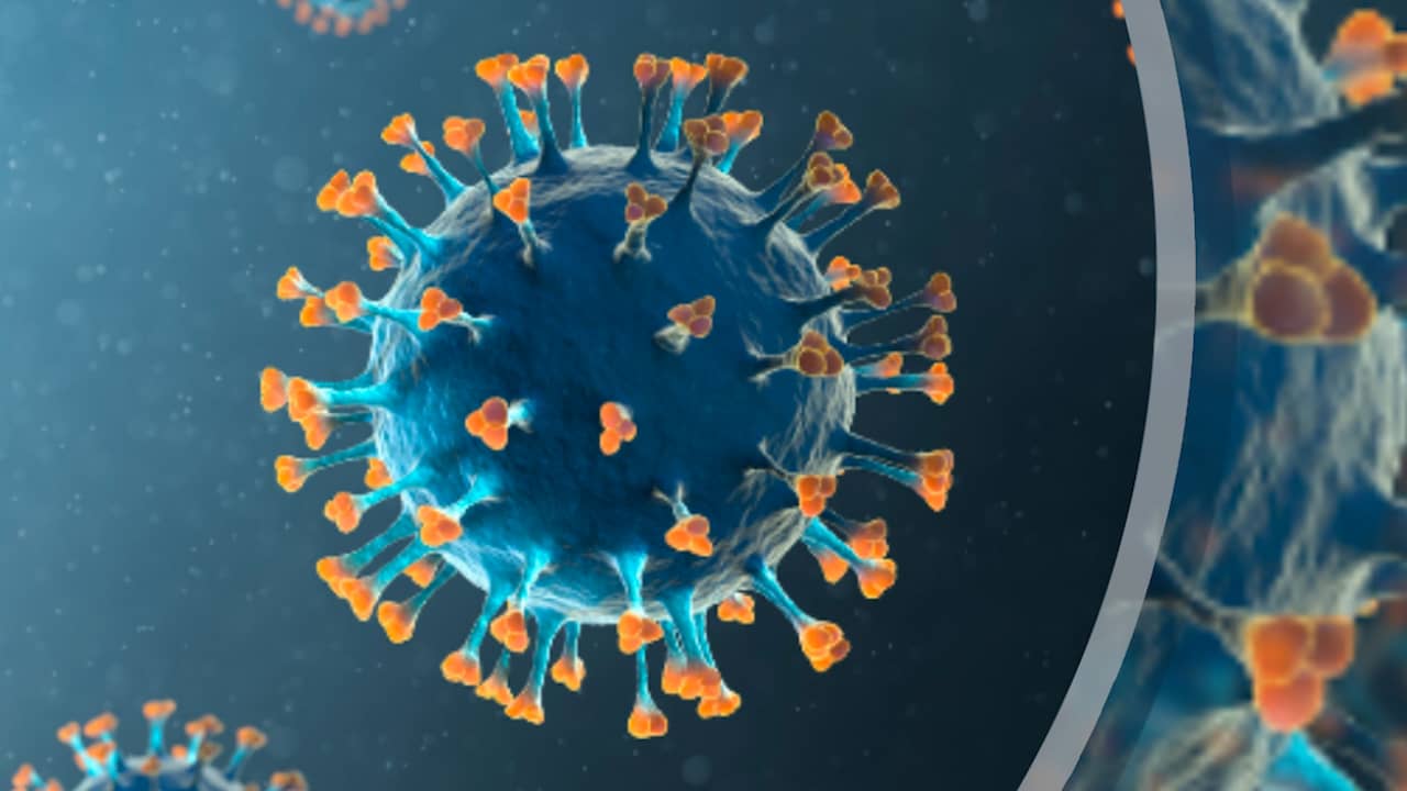Beeld uit video: Hoe werkt immuniteit voor corona?