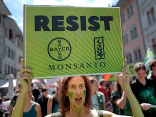Monsanto, 