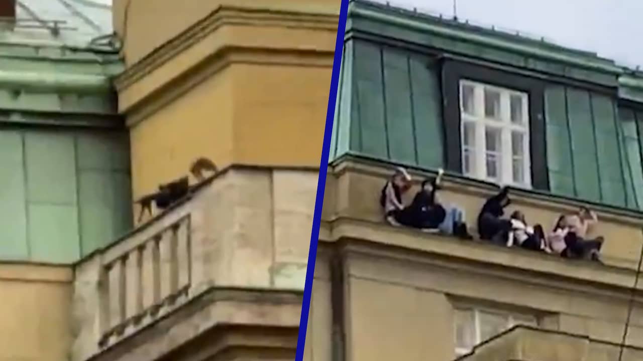 Beeld uit video: Omstanders filmen schutter en schuilende mensen in Praag