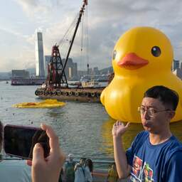 De reuzebadeend in de haven van Hong Kong zwemt weer in zijn eentje