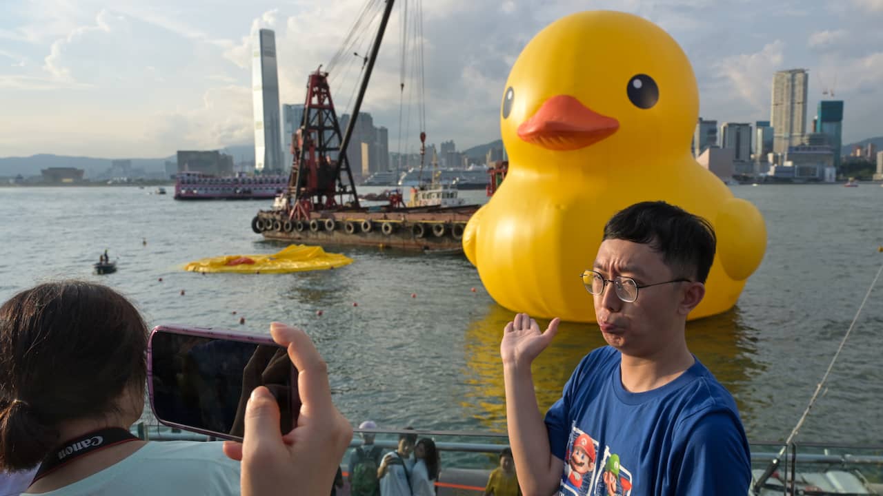 De reuzebadeend in de haven van Hong Kong zwemt weer in zijn eentje | Algemeen