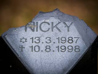 'Monument voor Nicky Verstappen op Brunssummerheide opnieuw vernield'