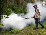 Eerste muggen met zikavirus op Amerikaanse vasteland