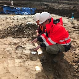 Stokoude mensengraven gevonden bij Angeren bij voorbereidingen aanleg A15