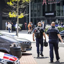 Opgepakte verdachten kunstroof TEFAF in Maastricht weer vrijgelaten