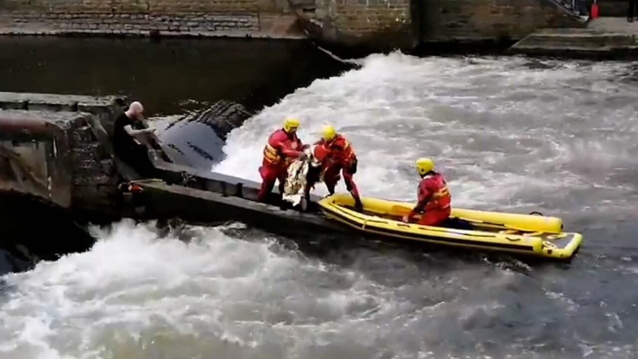 Beeld uit video: Meisje wordt gered na omslaan kajak op Belgische rivier