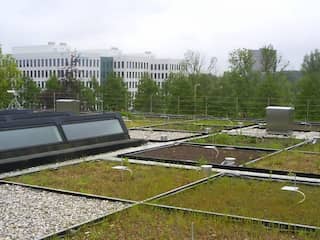Breda stelt 100.000 euro extra beschikbaar voor vergroenen daken en tuinen