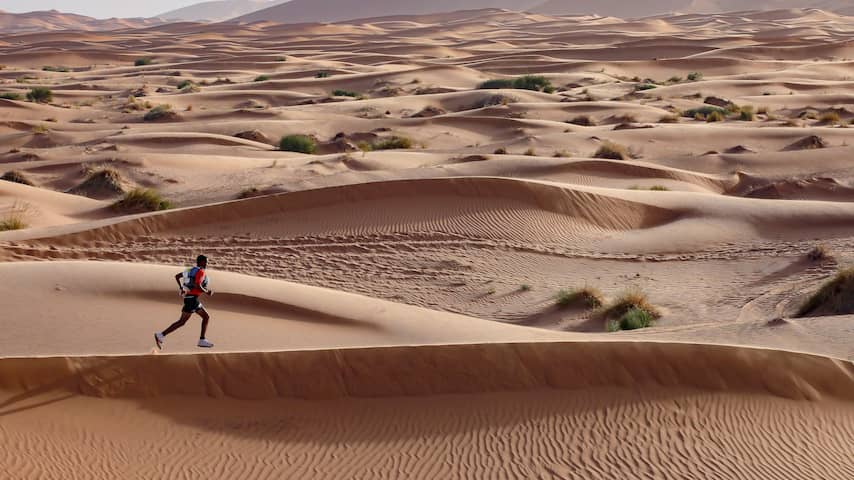Recordaantal Nederlanders doet mee aan zware zesdaagse marathon in woestijn