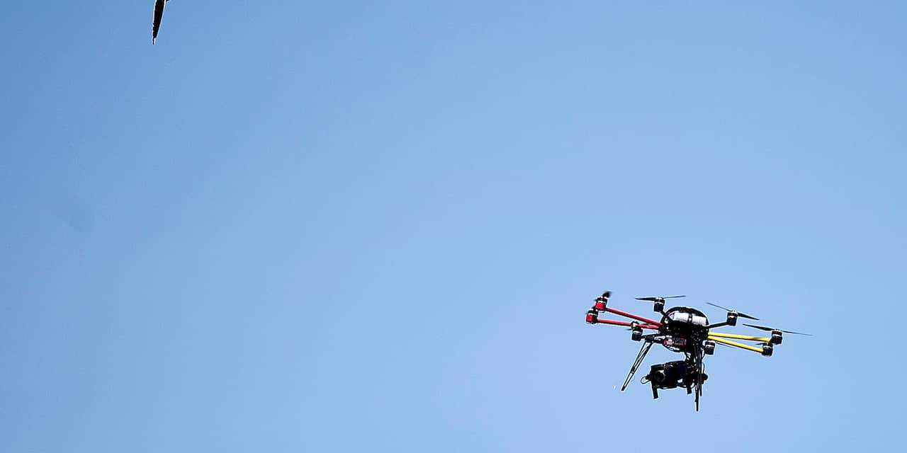 Duitse stad bestrijdt overlast vogels met drones