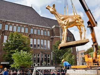 Overzicht: Uitreiking van de Gouden Kalveren in Utrecht