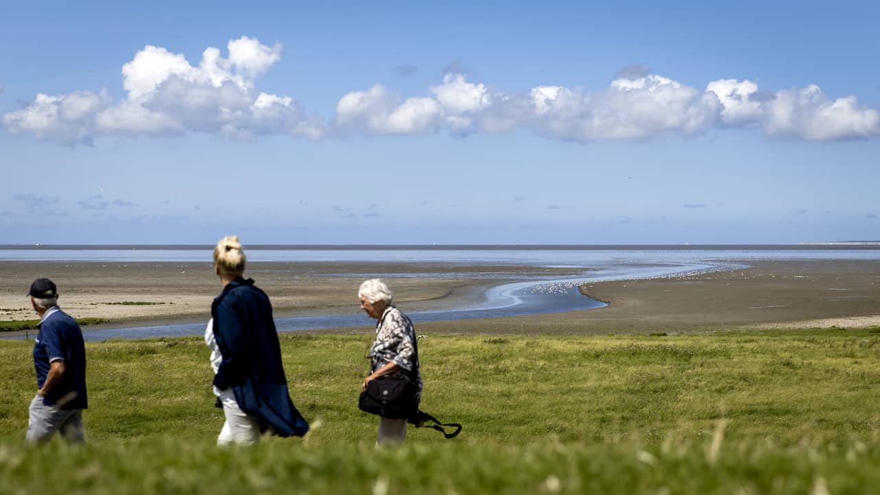 The Relationship Between Wealth and Happiness: Insights from Friesland and Other Dutch Regions