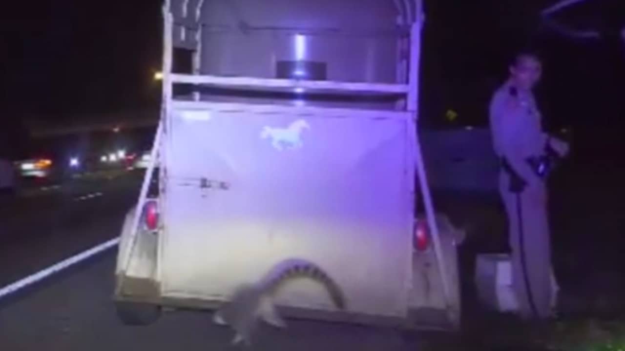 Beeld uit video: Maki springt uit auto na arrestatie bestuurder VS