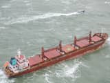 Stuurloos geraakt schip Julietta D ligt stabiel voor de kust van Den Haag