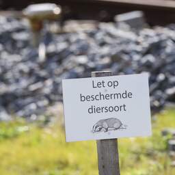 ProRail heeft geen das gezien bij werk aan spoor in Esch: 'Dat is een goed teken'