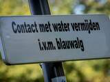 Waterschap Brabantse Delta vindt blauwalg in water bij Tramsingel
