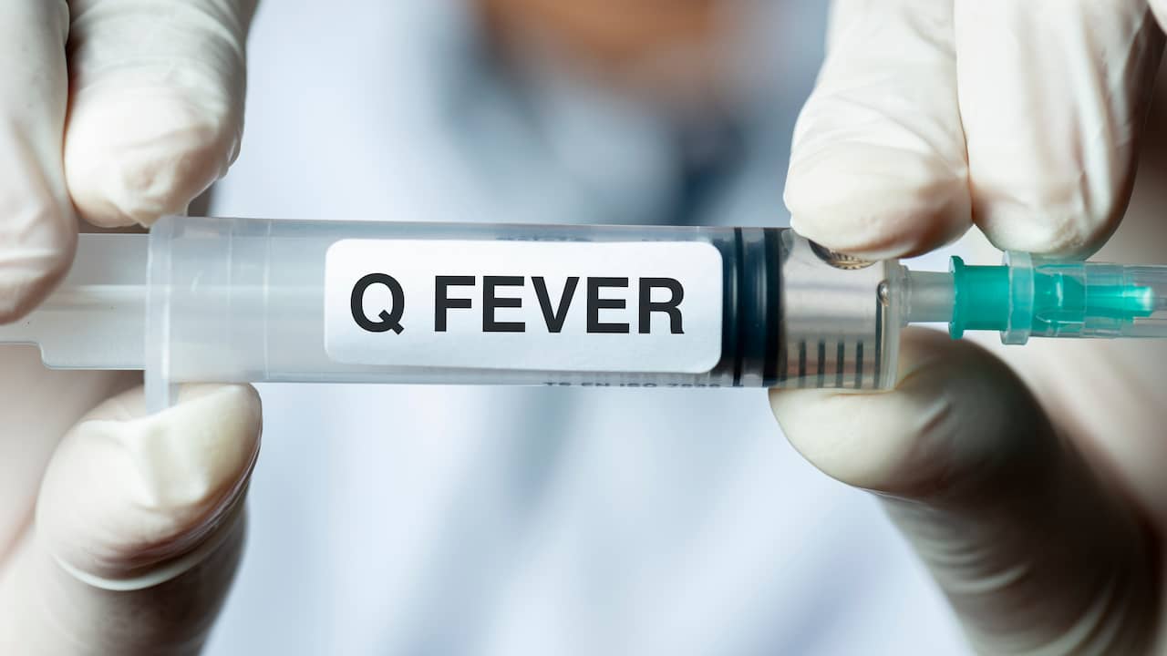 Ombudsman asks government to apologize to Q fever patients for the third time |  local
