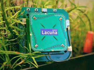 Sensor op plantenenergie maakt contact met satellieten