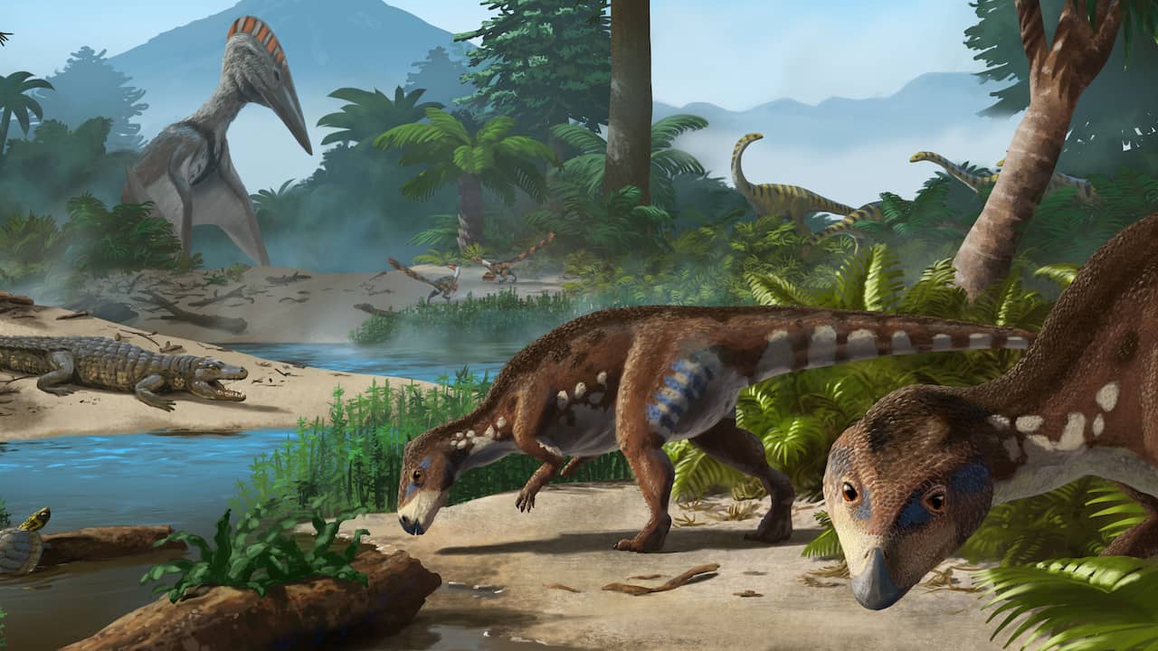 Dinosaure nain jusque-là inconnu découvert en Roumanie |  Science