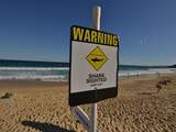 Surfer zwaargewond na haaienbeet voor oostkust Australië