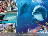 Beleef een dolfijne dag in Brugge voor 19,50 euro