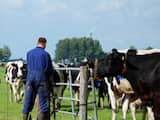 Boeren kloppen vaker bij hulporganisaties aan door 'volstrekt onduidelijk' beleid