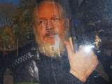 Assange riskeert celstraf wegens schenden voorwaarden borgtocht in 2012