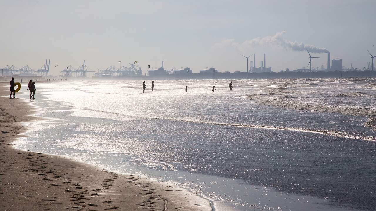 Politie pakt negen man op tussen geschrokken naakte strandgangers  Maasvlakte | Binnenland | NU.nl