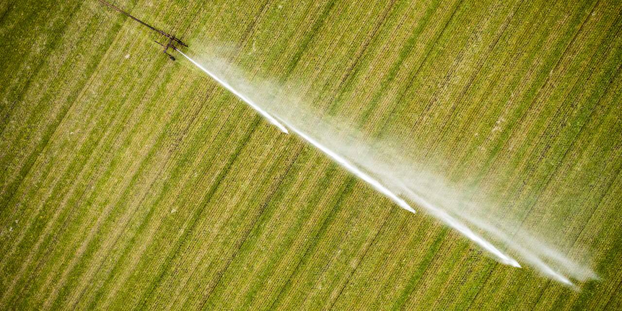 Rheden in strijd tegen droogte en wateroverlast
