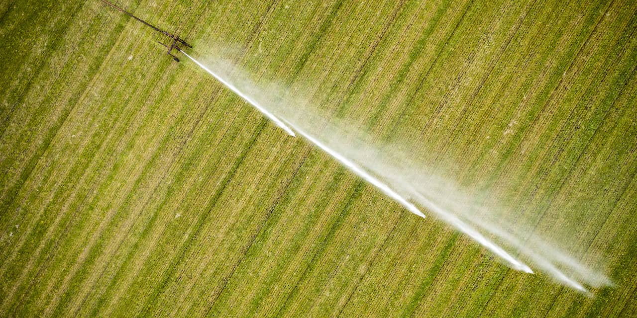 Waterbeheerders nemen meer maatregelen tegen aanhoudende droogte